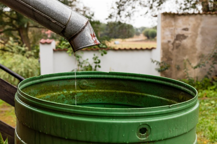 Nova zahrada - jesen